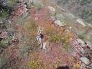 photo thumbnail #2