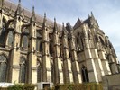 photo thumbnail #5
