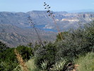Featured Full Photo