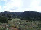 photo thumbnail #13