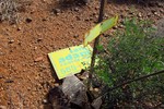 photo thumbnail #6