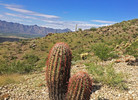 photo thumbnail #7