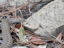 photo thumbnail #13