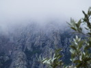 photo thumbnail #15