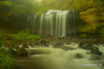 photo thumbnail #3