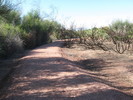photo thumbnail #5