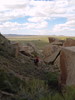 photo thumbnail #8