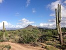 photo thumbnail #7