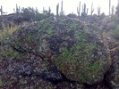 photo thumbnail #9