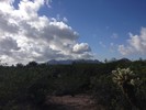 photo thumbnail #14