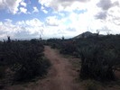 photo thumbnail #15