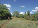 photo thumbnail #8