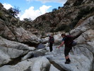 photo thumbnail #8