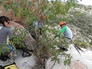 photo thumbnail #12