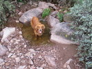 photo thumbnail #7