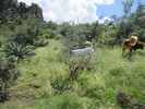 photo thumbnail #12