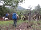 photo thumbnail #4