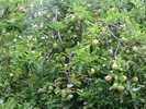 photo thumbnail #14