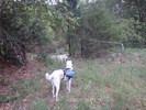 photo thumbnail #1