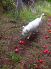 photo thumbnail #7