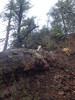photo thumbnail #11