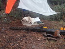 photo thumbnail #12