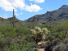 photo thumbnail #5