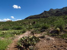 photo thumbnail #13