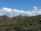 photo thumbnail #15