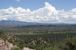 photo thumbnail #8