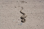photo thumbnail #14