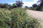 photo thumbnail #6