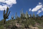 photo thumbnail #9