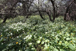 photo thumbnail #15
