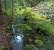 photo thumbnail #12