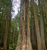 photo thumbnail #14