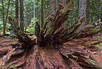 photo thumbnail #15