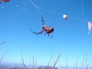 photo thumbnail #11