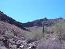 photo thumbnail #12