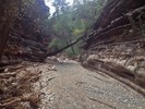 photo thumbnail #15