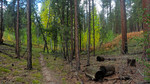 photo thumbnail #5