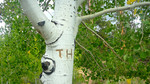 photo thumbnail #14