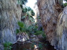 2014-08-29 :3: Gene Wash Reservoir :: squatpuke