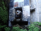 photo thumbnail #11