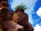 photo thumbnail #12