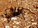 photo thumbnail #13