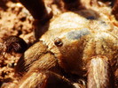 photo thumbnail #14