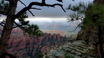 photo thumbnail #11