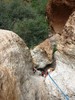 photo thumbnail #5
