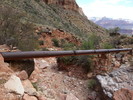 photo thumbnail #15